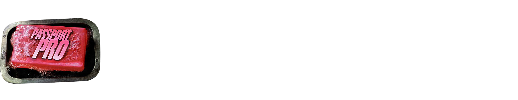 Passport Pro