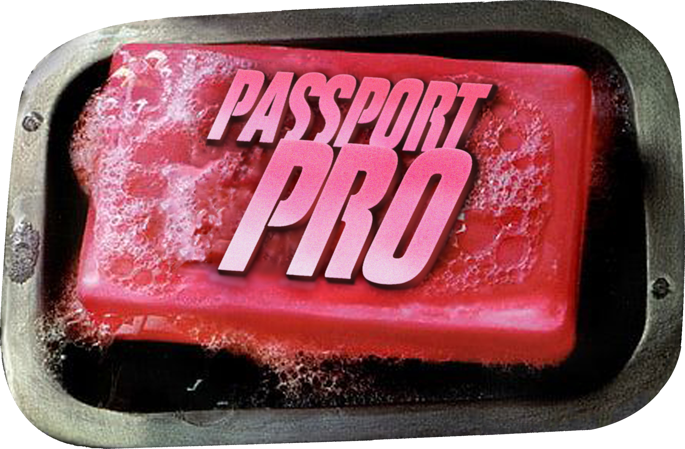 Passport Pro
